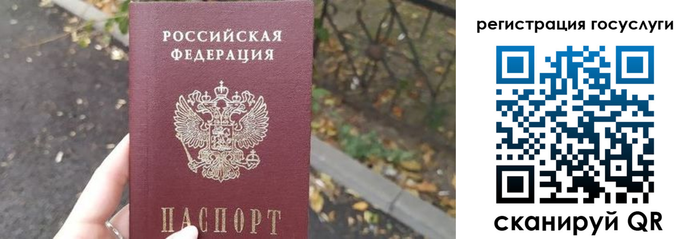 купить прописку в Ермолино